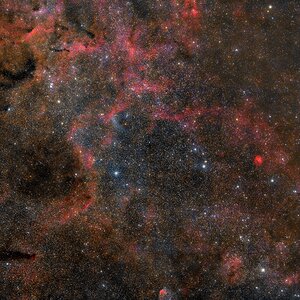Region NGC6883