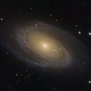 Messier_81.jpg
