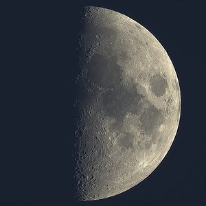 Mond