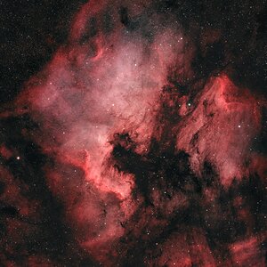 NGC 7000  IC 5070.jpg