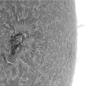 sun