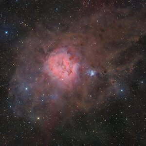 IC5146 - Kokon-Nebel