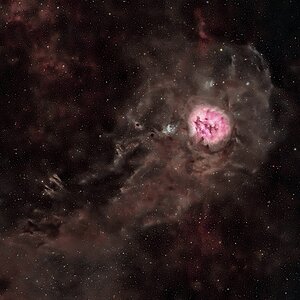 IMG_1181.jpeg
