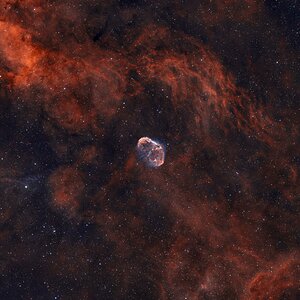 NGC 6888 - Crescent Nebel (Mondsichelnebel) und Umgebung