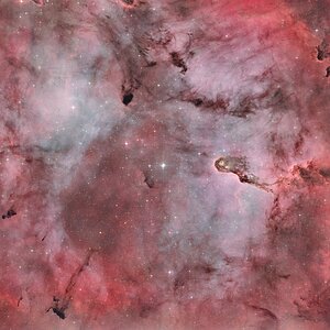 IC1396. Elephant Trunk