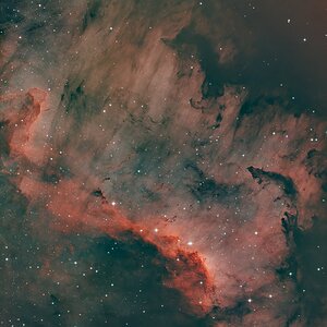 Cygnus Wall NGC7000.jpg