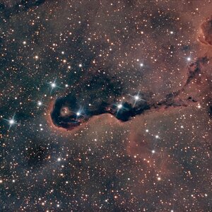 IC 1396 im Sternbild Kepheus