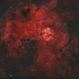 SH2-124_Epsilon160_5Std.jpg