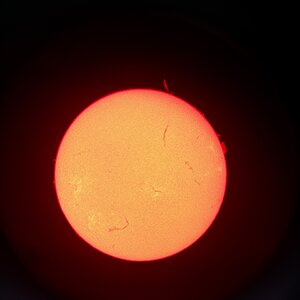 IMG_1916.jpeg