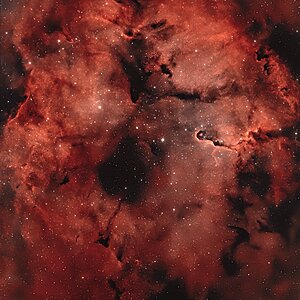 IC1396