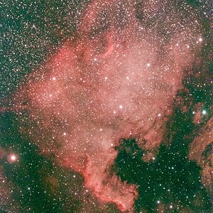NGC_7000_NordamerikaNebel.jpg
