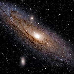 M31