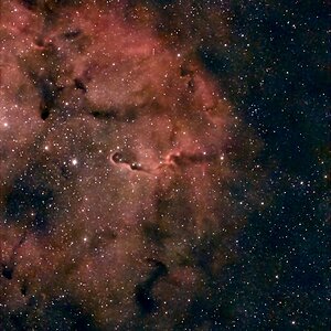 IC 1396 mit Seestar s30 pro