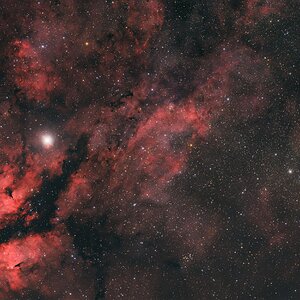 Sadr-Region / IC1318 / NGC6888 / M29 / IC4996 / NGC6910
