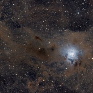 Medium 'NGC 7023 - Irisnebel' in Kategorie 'Gas- und Reflexionsnebel'