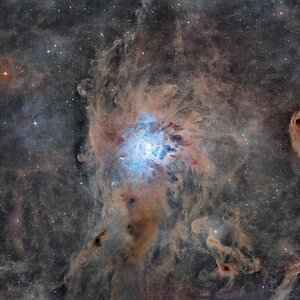 NGC7023 ( Irisnebel)