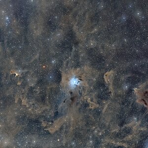 NGC7023 Widefield