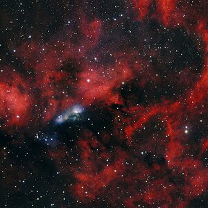 NGC6914.jpg
