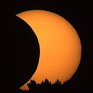 IMG_2977.jpeg