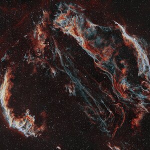 forax.jpg