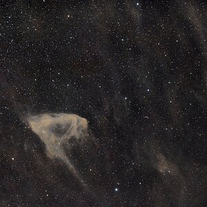 Sh2-63 Dunkle Wolke + Barnards_Galaxie IC4895 + 61Sagittarii