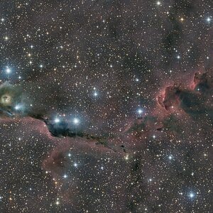 IC1396 (Elefantenrüsselnebel)