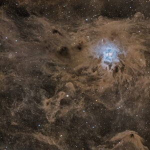 NGC7023 - schon wieder ;-)