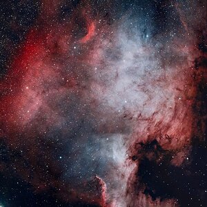 NGC7000