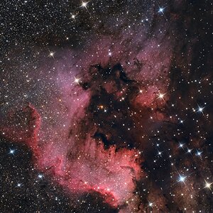 NGC7000, Region: The Great Wall