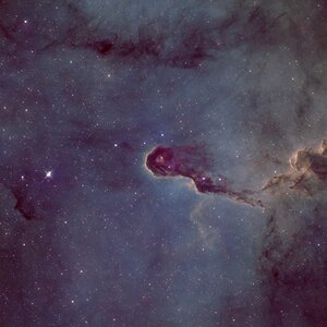 IC1396A (Elefantenrüsselnebel)