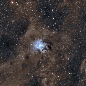 NGC7023