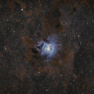 NGC 7023