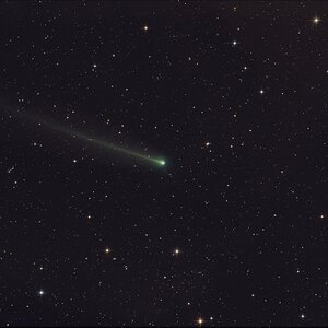 P220 McNaught