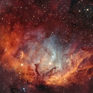 SH2-101_Tulip_20260825_Compress.jpg