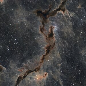 Barnard 150 - ein Seepferdchen aus Staub