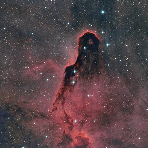 Elefantenrüsselnebel IC 1396A.jpg