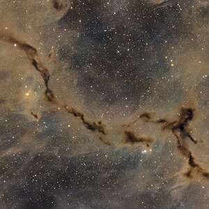 Das dunkle Seepferdchen im Cepheus – LDN 1082 (Barnard 150)