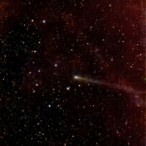 220PMcNaught 2.9.26.jpg