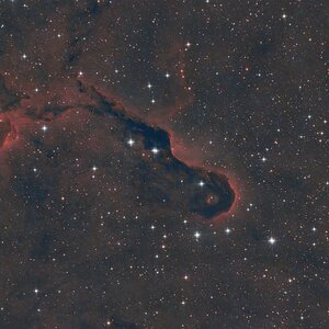 IC1396a - Elefantenrüsselnebel