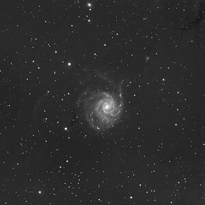 M101, die Pinwheel Galaxie