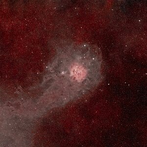 IC5146