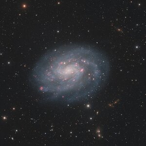 NGC 300
