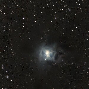 NGC 7023 / C4 Irisnebel