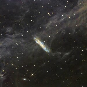 NGC7497_Atik460EXC_TSRC1264_30x23_080926.jpg