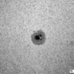 IMG_6096_3 MF AE HS AR14526 08092026 1459 UTC.jpg