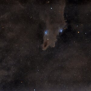 LDN 1235-The Shark Nebula