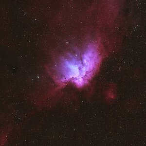 Wizard-Nebel in HOO