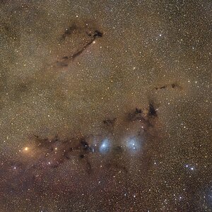 LDN 768 und das „Loch Ness Monster“ in Vulpecula