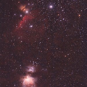 Orion