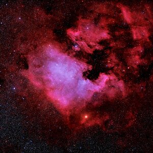 NGC7000